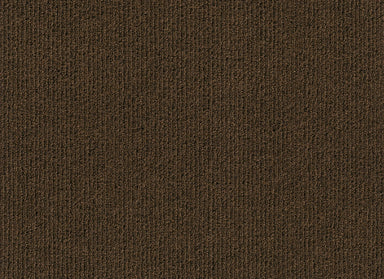 Palm Bay in Chocolate Carpet