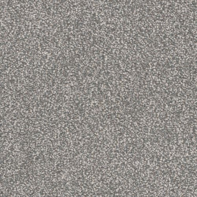 Grant Park  in Tudor Carpet