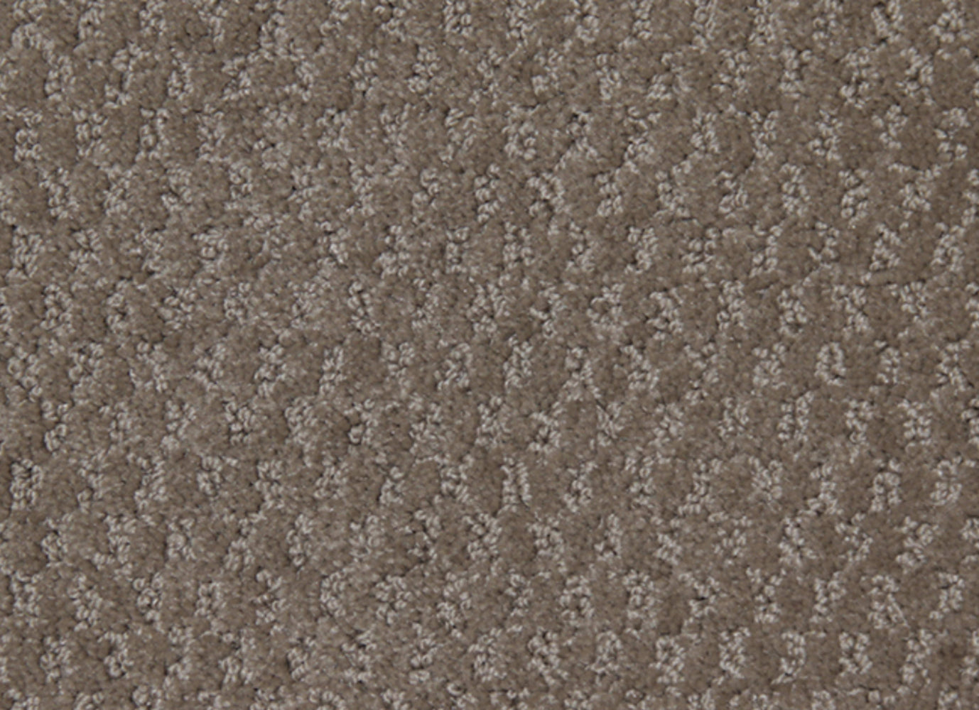 Perfect Setting in Fashion Taupe Carpet