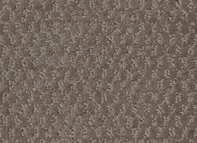 Perfect Setting in Fashion Taupe Carpet