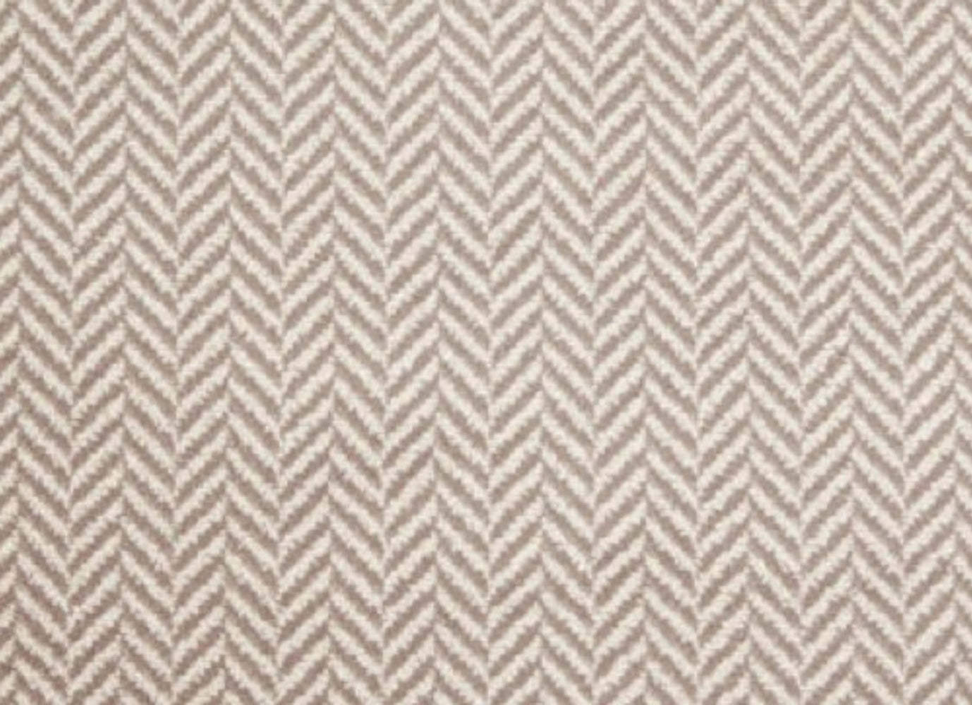 Phenomenon in Praline Carpet