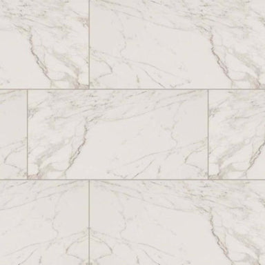 Pietra in Carrara - 12x24 Polished Tile
