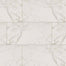 Pietra in Carrara - 12x24 Polished Tile