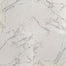 Pietra in Carrara - 24x24 Polished Tile