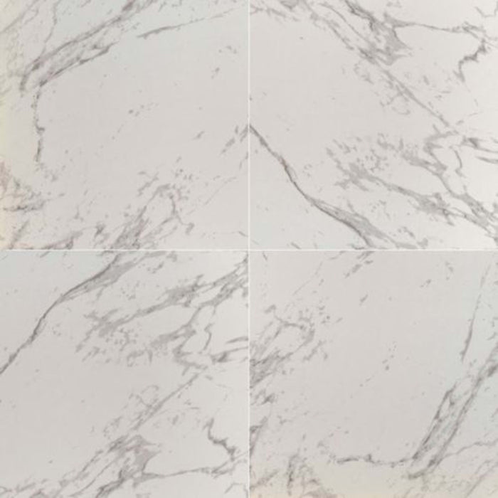 Pietra in Carrara - 24x24 Polished Tile