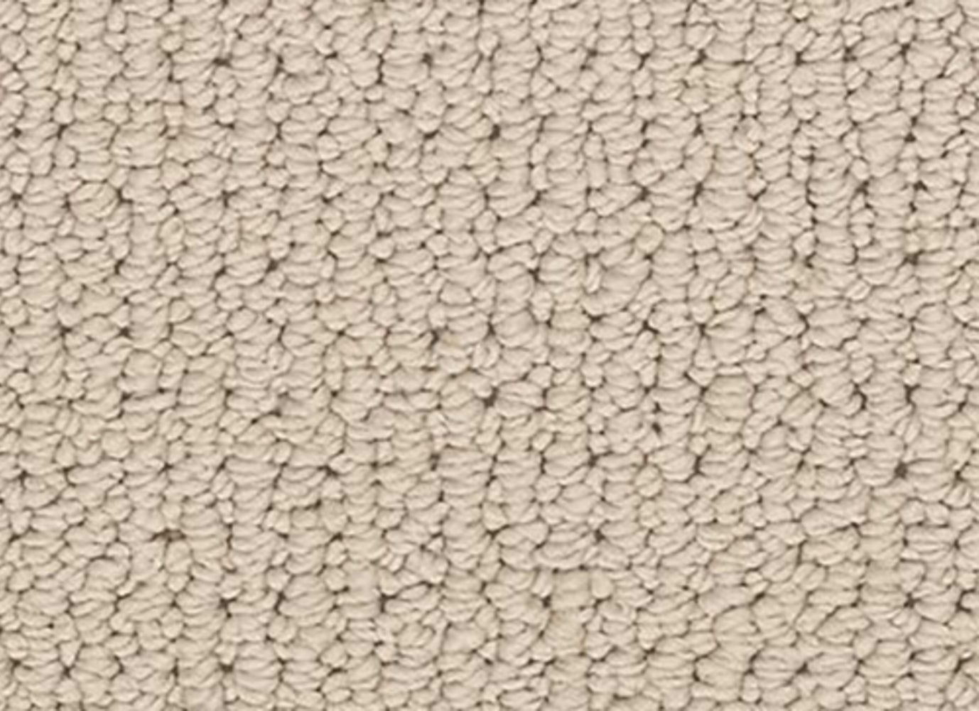 Global Brilliance in Portrait Carpet