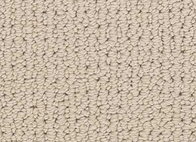 Global Brilliance in Portrait Carpet
