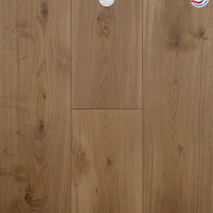 Dutch Masters in Gaspar Hardwood