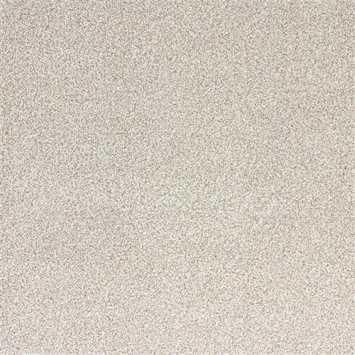 Pure Luxury in Plush Carpet