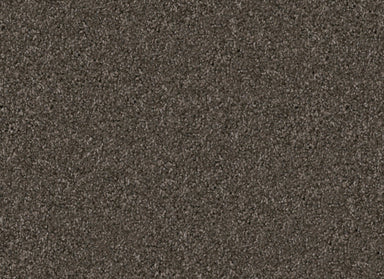 Pyrenees in Schnauzer Carpet