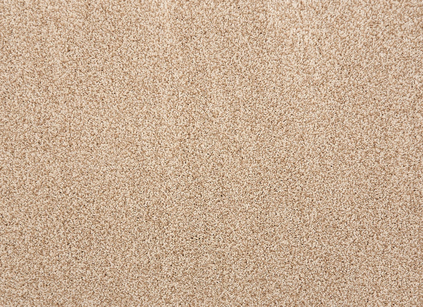 Quest Plush II in Ecru Carpet