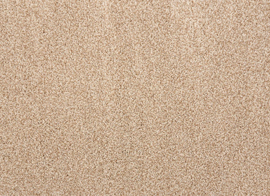 Quest Plush II in Ecru Carpet