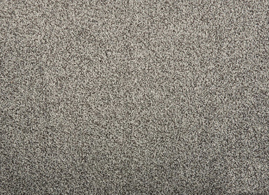 Quest Plush I in Marble Carpet