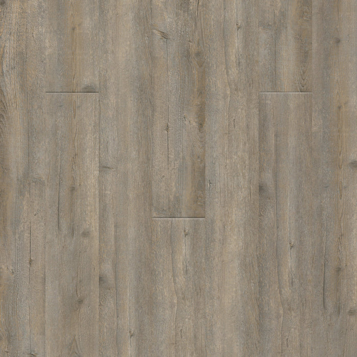 PureGrain Endure - New Standard II in Playa Luxury Vinyl