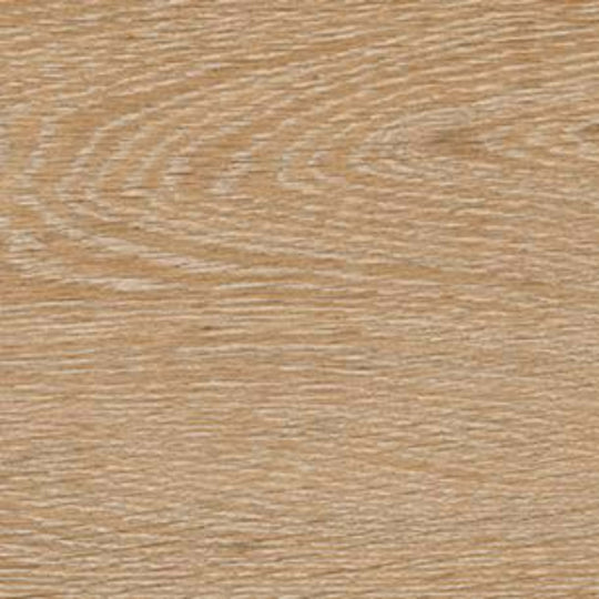 Woodchoice in Coconut