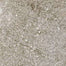 Stoneway Porfido in Grey-15x15 Tile