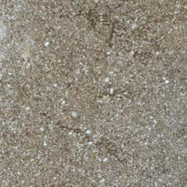 Stoneway Porfido in Anthracite-15x15 Tile