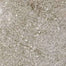 Stoneway Porfido in Grey-15x30 Tile