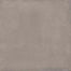 Replace in Tortora C2 Rt-60x60 Tile