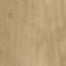 Woodsense in Beige Rt-20x120 Tile