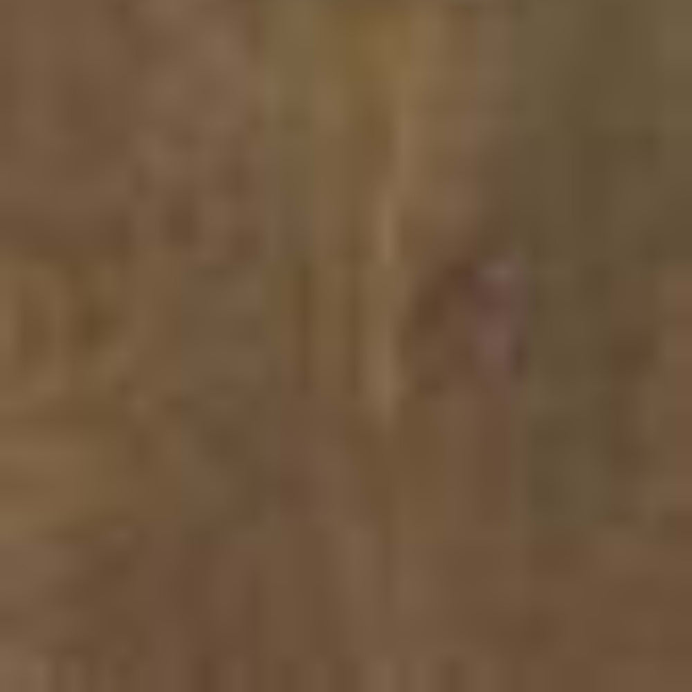 Woodsense in Marrone Grip Rt-20x120 Tile