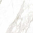 Incanto - 120X120 in Calacatta Nobile Glossy Rettificato-120x120 Tile
