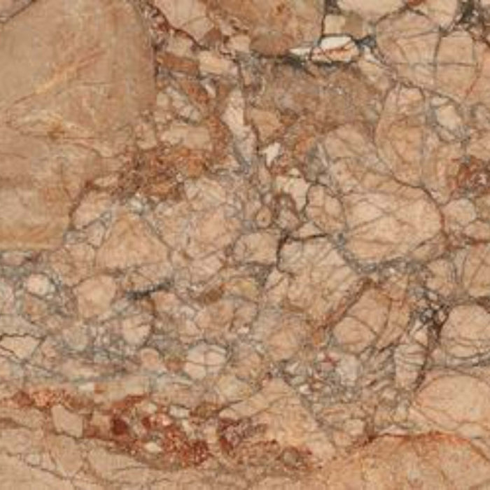 Incanto - 30X60 in Breccia Pernice Glossy Rt-30x60 Tile