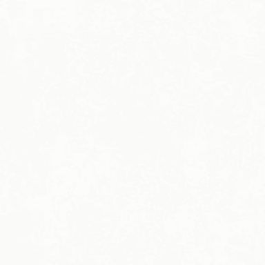 Replace in Bianco-25x76 Tile