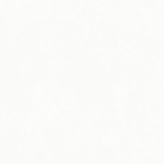 Replace in Bianco-25x76