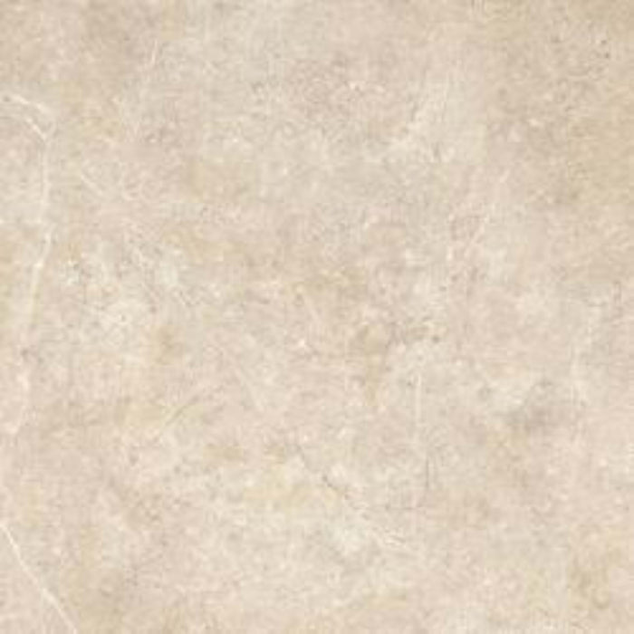 Realstone Argent in Ghiaccio Ptv Rt-60x60 Tile