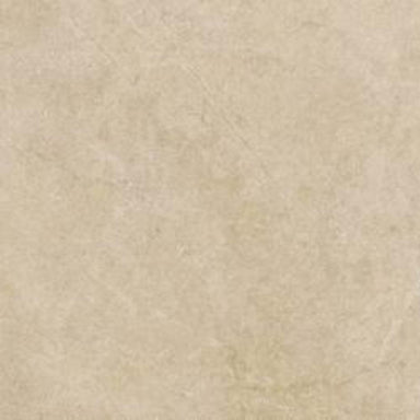 Realstone Argent in Miele Rt 6mm-60x120 Tile