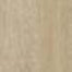 Ossimori in Avorio Extra Matt Rt-20x120 Tile