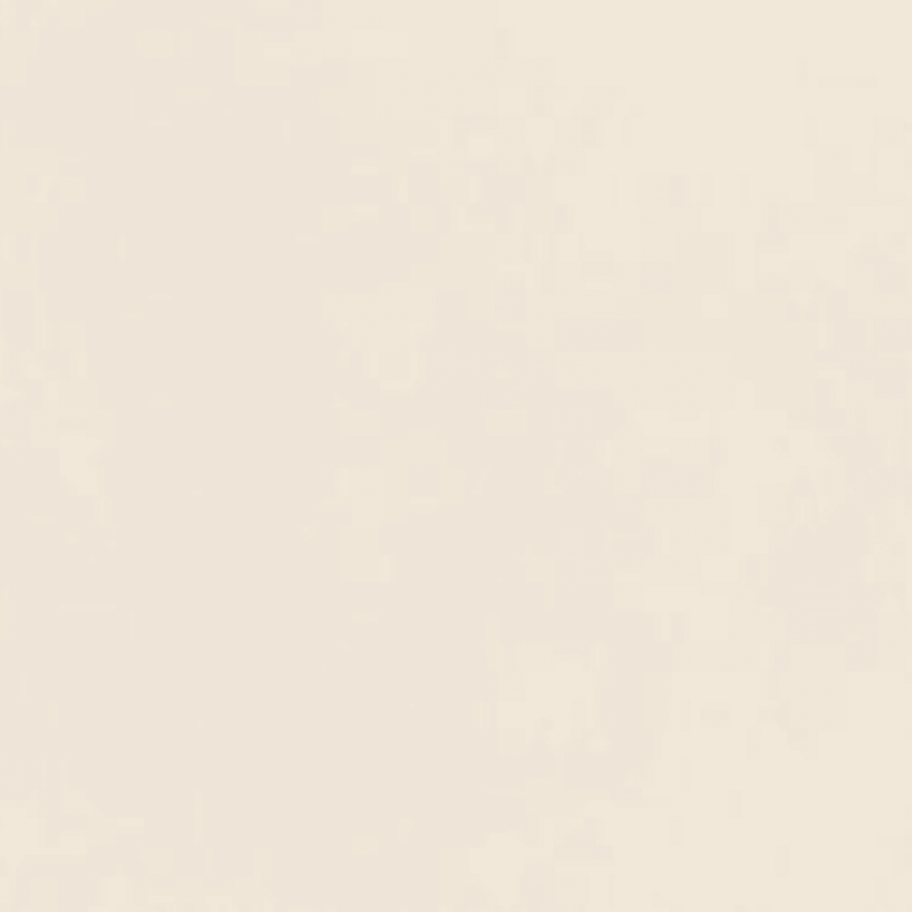 Decora in Bianco Rt-60x120 Tile