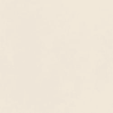 Decora in Bianco Rt-60x120 Tile