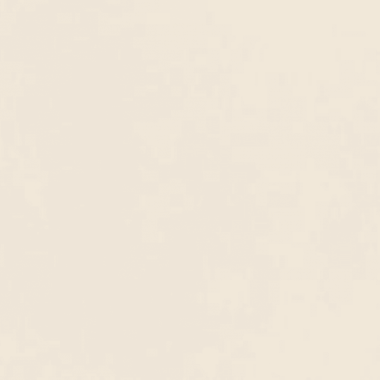 Decora in Bianco Rt-60x120