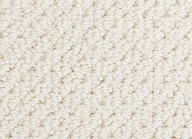 Radiant Fit in Nouveau Carpet
