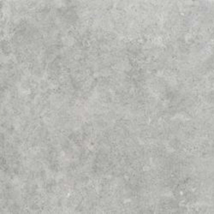 Richmond in Richmond Taupe C2 Rt-60x120 Tile