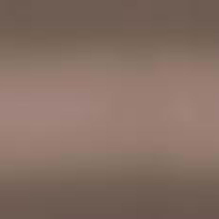 Richmond in Richmond Listello Titanio-2x100 Tile