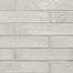 Stella in Rhino 2x10 Tile