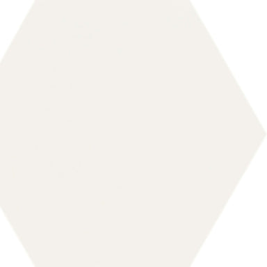 Rima Hexagon in White Tile