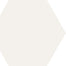 Rima Hexagon in White Tile