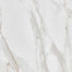 Rio in Calacatta Tile