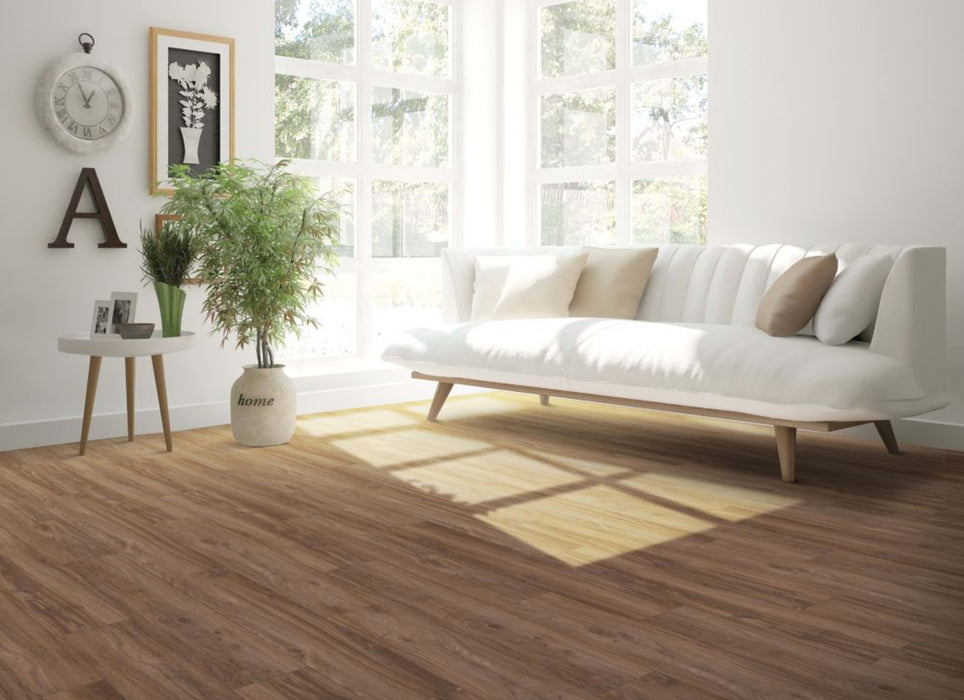 Leighton II in Loggerhead Oak