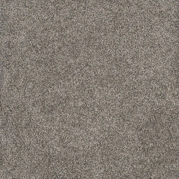 Dried Sage