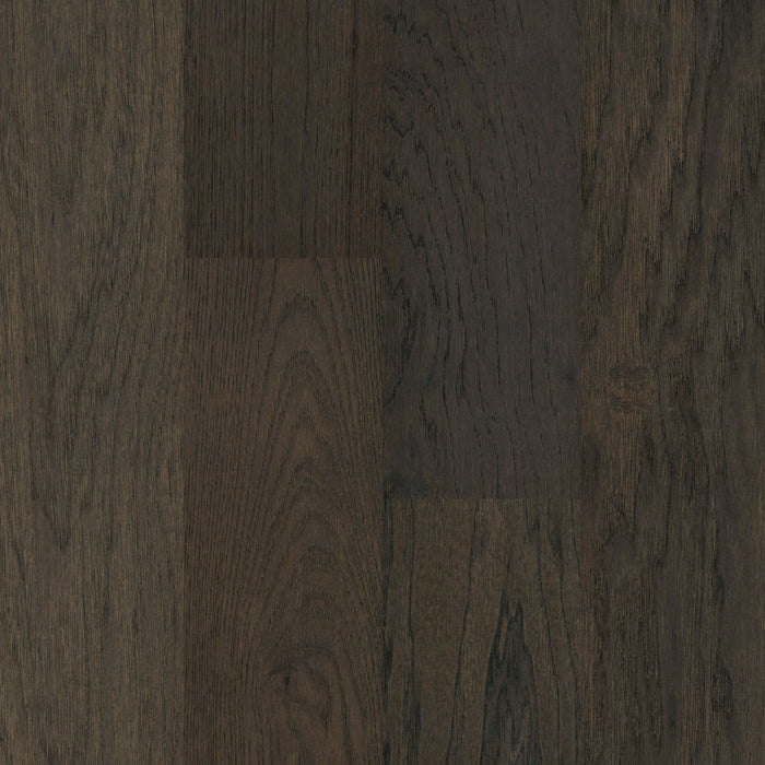 Revello in Fernando Hardwood