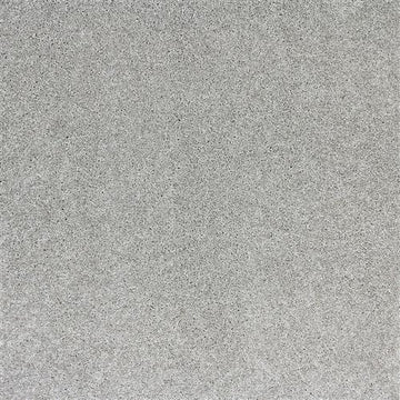 Gray Dawn