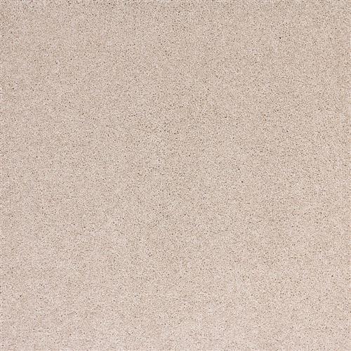Radiant Beauty in Luminary Carpet