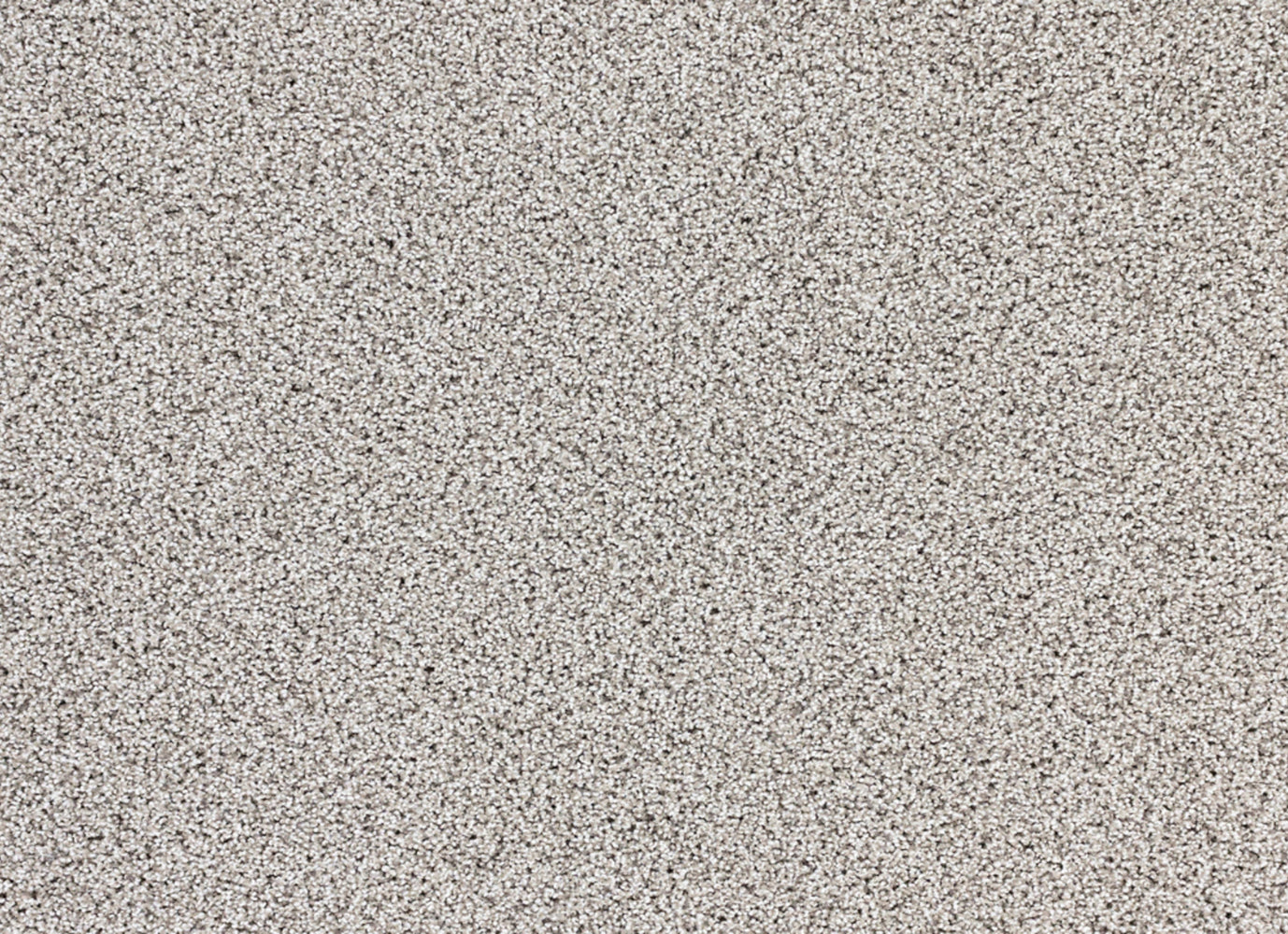 Real Appeal in Taupe Gray Carpet