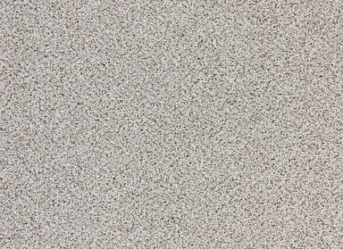 Real Appeal in Taupe Gray Carpet