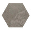 Scripter in Rebel Hex Tile
